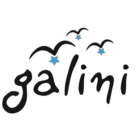 Galini Chora Tinou *