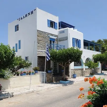 Apartment Galini Chora Tinou *