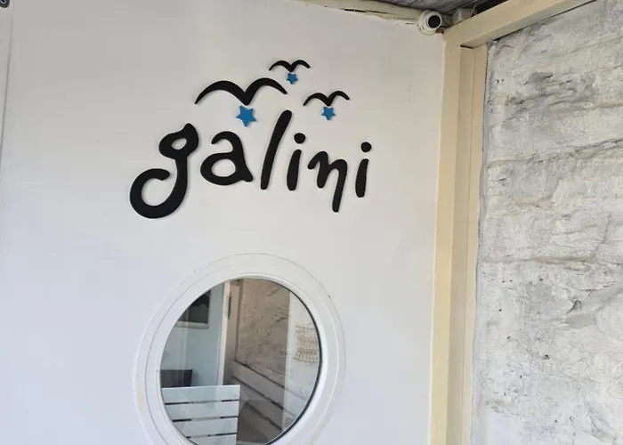 Apartment Galini Chora Tinou *