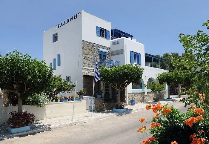 Apartment Galini Chora Tinou *