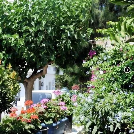 Galini Chora Tinou *