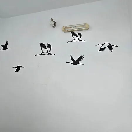 Galini Chora Tinou Apartamento