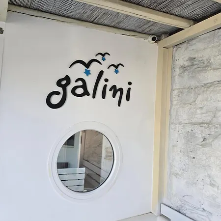 Апартаменты Galini Chora Tinou *