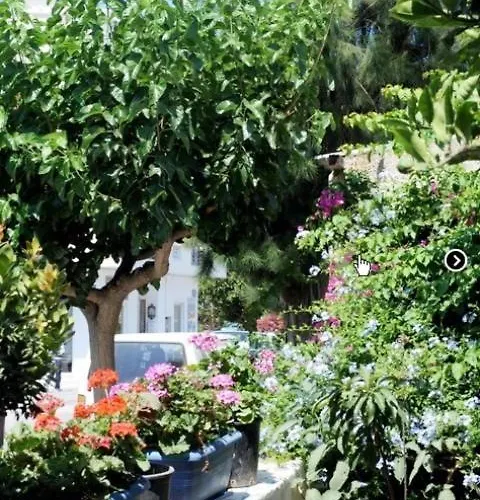 Galini Chora Tinou *